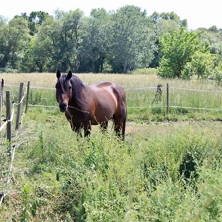 Lobilum En Camargue Villa Saint-Martin-de-Crau Eksteriør bilde